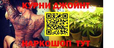 шишки Боровичи