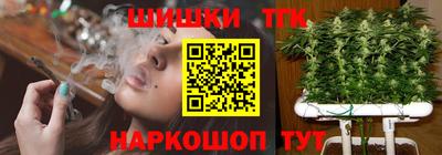 шишки Боровичи