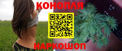 СК Брянск