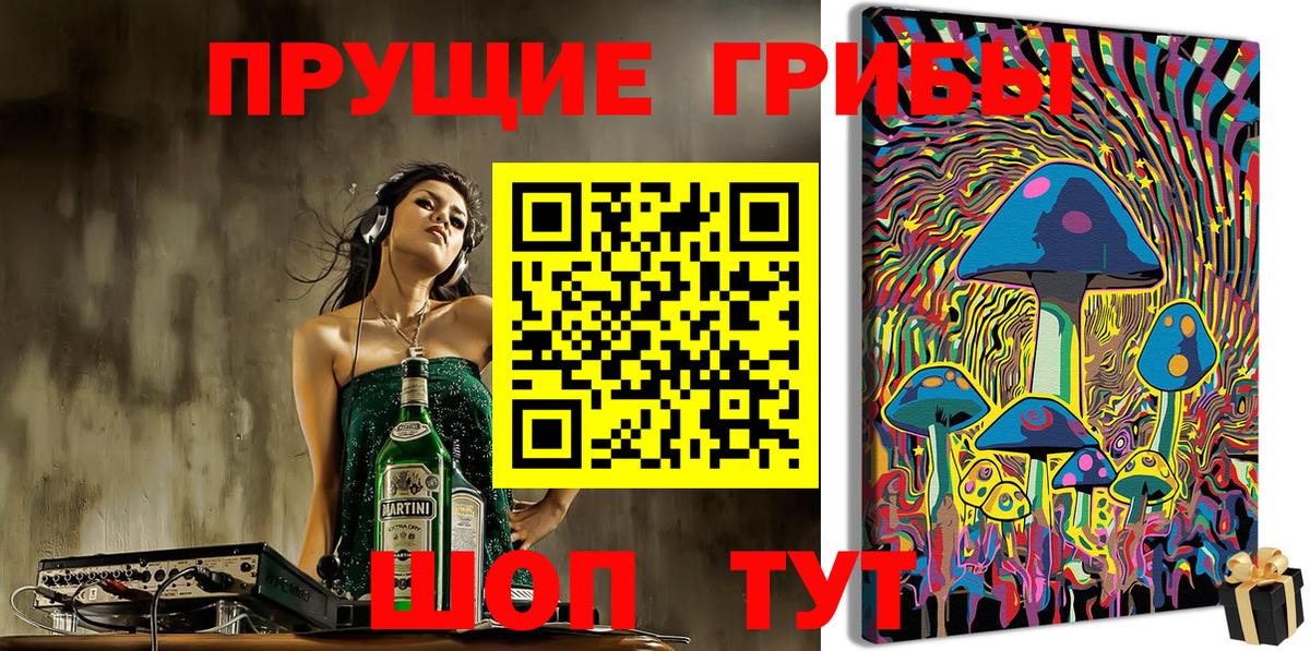Псилоцибиновые грибы прущие грибы Баксан