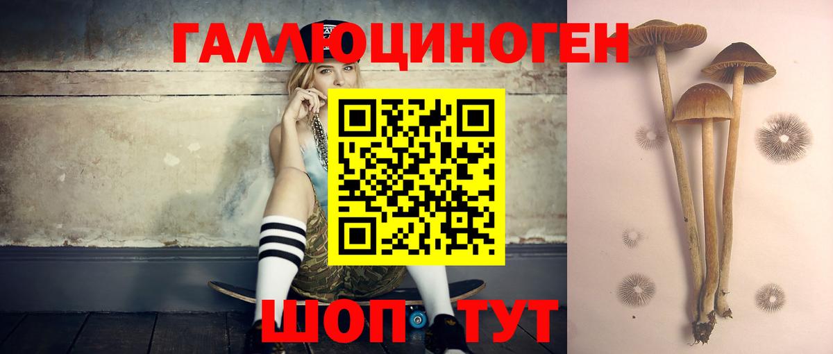 Галлюциногенные грибы мицелий  Вход с VPN  Галлюциногенные грибы Psilocybe  Баксан 
